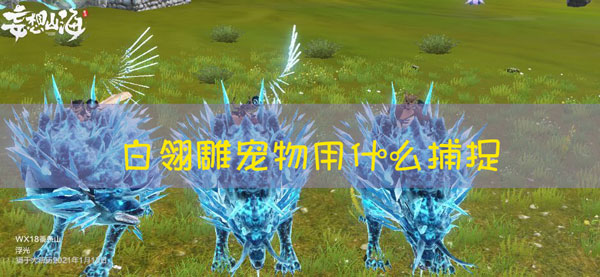妄想山海白翎雕需要什么品质的捕捉器