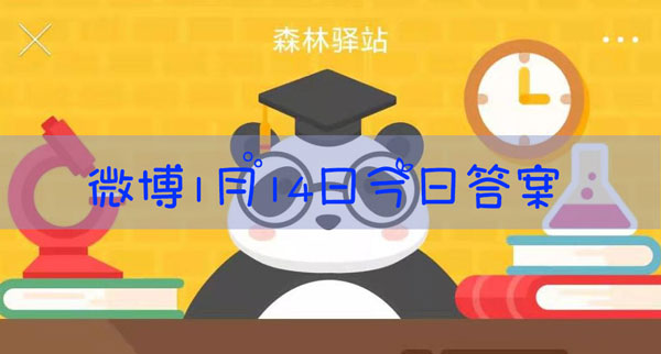 中国野外的长臂猿不会吃下面的哪种食物