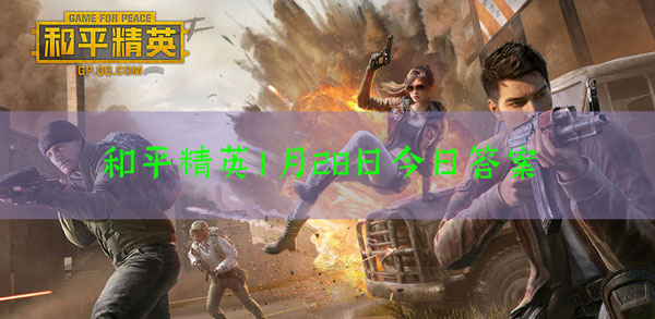 鸡仔在干什么，为什么不说话