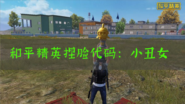 和平精英捏脸小丑女代码