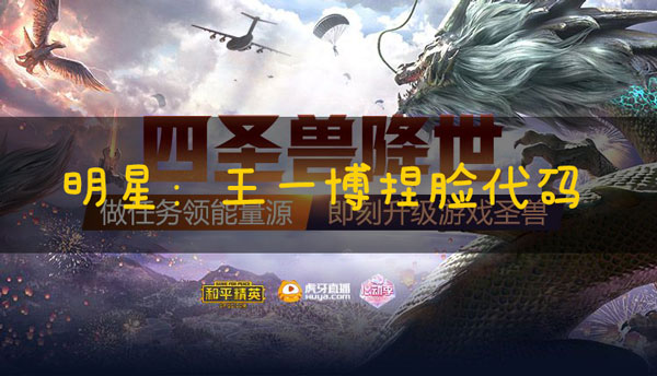 和平精英捏脸代码王一博