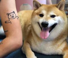 谢谢你cheems什么梗