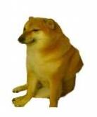 谢谢你cheems表情包