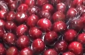 车厘子自由是什么梗