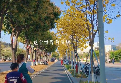 这个世界有多甜是什么歌