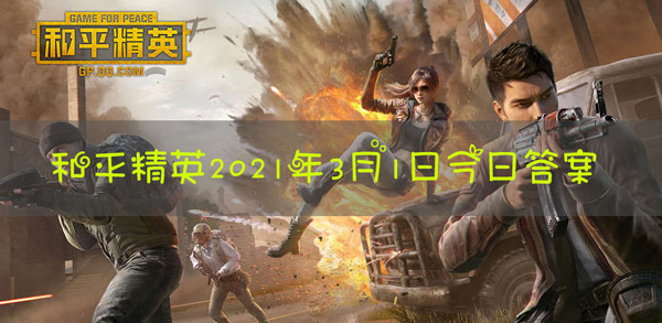 在与敌人的实战中，架枪人要为队友提供什么