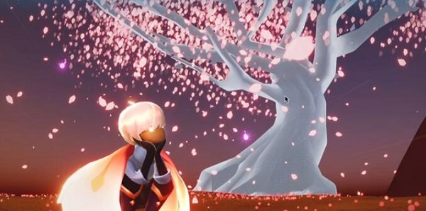 光遇樱花节多少钱