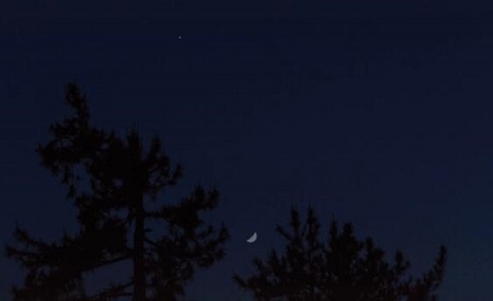 能不能别祝我晚安熬成习惯是什么歌