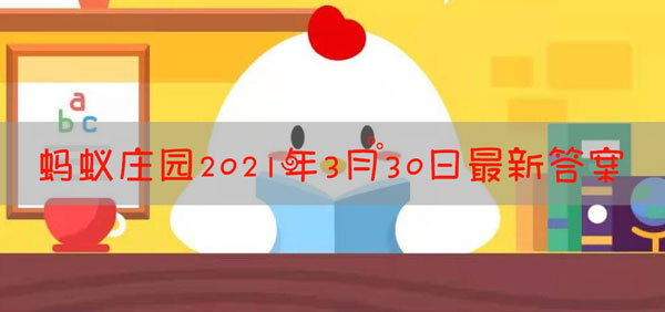 槐树的花朵很漂亮，那么哪种槐树的花朵是可以吃的