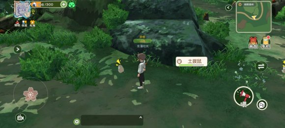 小森生活土拨鼠怎么不出洞