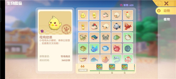 摩尔庄园钓鱼在哪