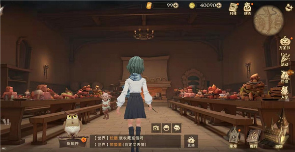 哈利波特魔法觉醒厨房怎么进去