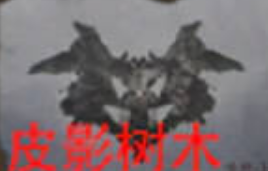 纸嫁衣5无间梦境罗夏测试卡片答案