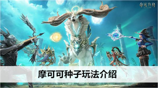 命运方舟摩可可种子玩法介绍