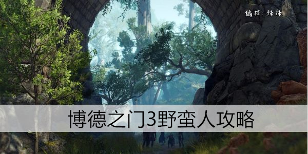 博德之门3牧师攻略