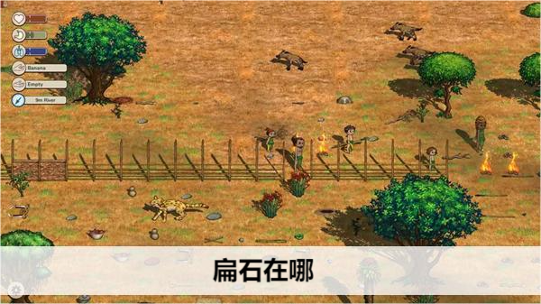 希望之村2来生扁石在哪