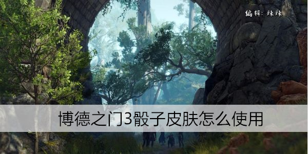 博德之门3骰子皮肤怎么使用