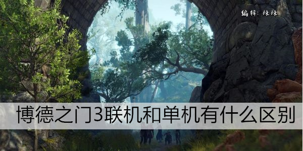 博德之门3联机和单机有什么区别