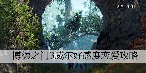 博德之门3威尔好感度恋爱攻略