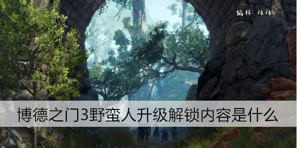 博德之门3野蛮人升级解锁内容是什么
