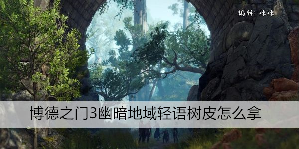 博德之门3幽暗地域轻语树皮怎么拿
