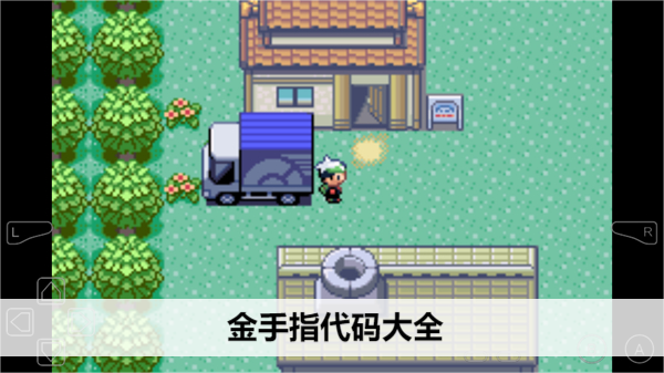 口袋妖怪绿宝石金手指代码大全