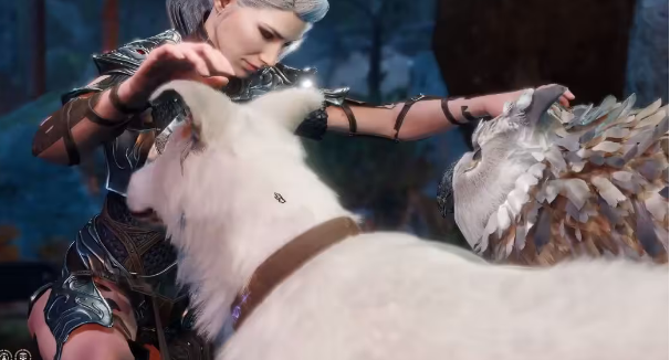 博德之门3枭熊怎么驯服