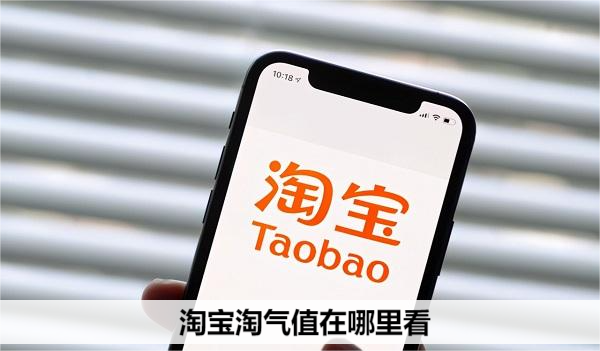 淘宝淘气值在哪里看