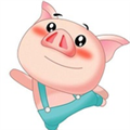 猪猪影视安卓