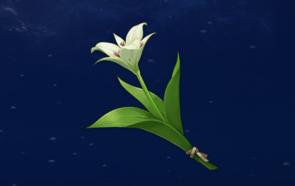 原神塞西莉亚花采集路线分布图