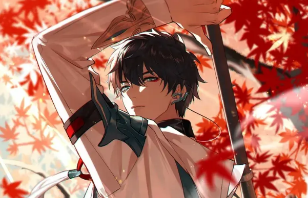 崩坏星穹铁道丹恒配队攻略