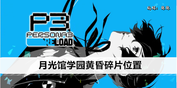 女神异闻录3Reload月光馆学园黄昏碎片位置