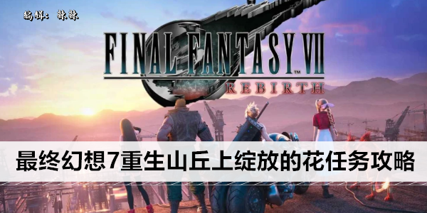 最终幻想7重生山丘上绽放的花任务攻略