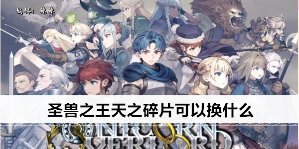 圣兽之王天之碎片可以换什么