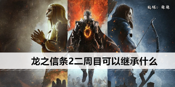 龙之信条2二周目可以继承什么