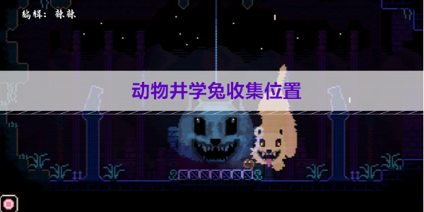 动物井学兔收集位置