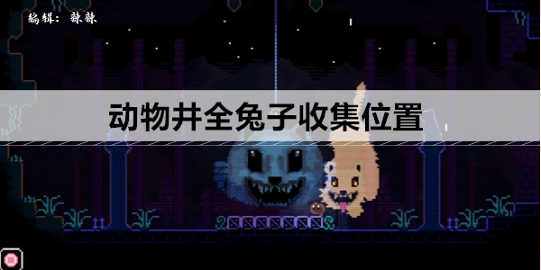 动物井全兔子收集位置