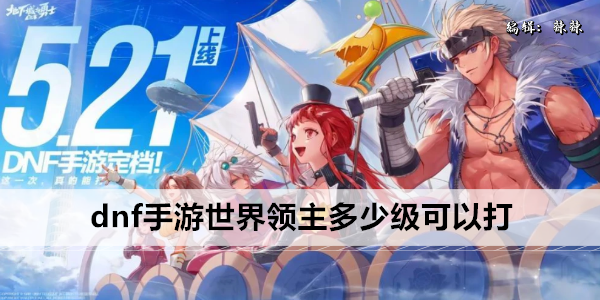 dnf手游世界领主多少级可以打