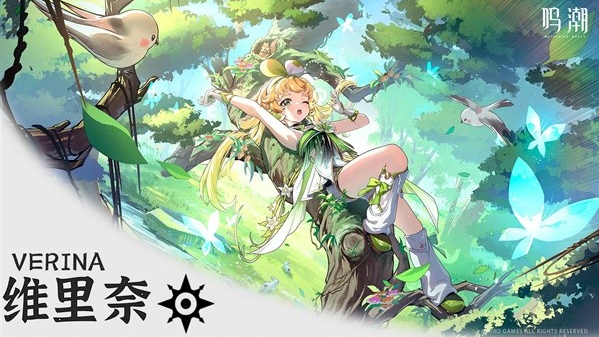 鸣潮维里奈声骸推荐