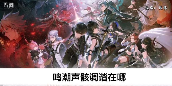 鸣潮声骸调谐在哪