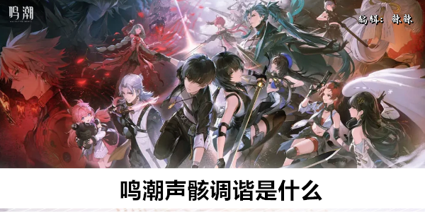 鸣潮声骸调谐是什么