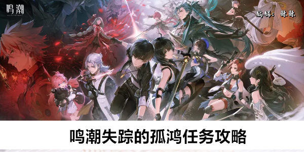 鸣潮失踪的孤鸿任务攻略