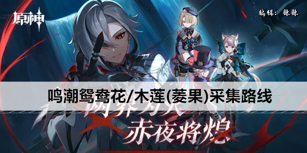 鸣潮鸳鸯花/木莲(菱果)采集路线
