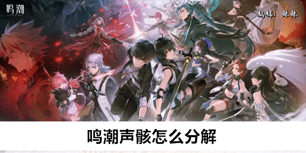 鸣潮声骸怎么分解