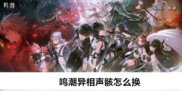 鸣潮异相声骸怎么换