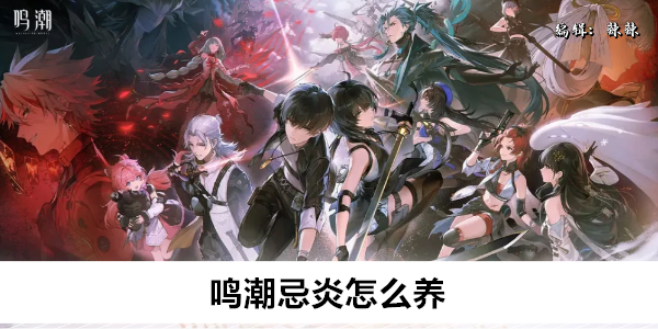 鸣潮忌炎怎么养