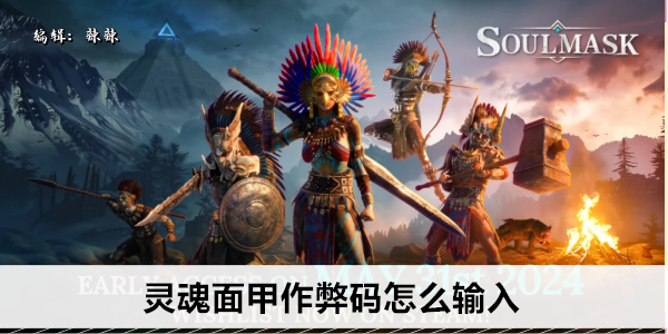 灵魂面甲作弊码怎么输入