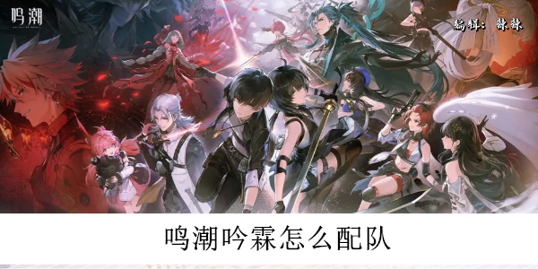鸣潮吟霖怎么配队