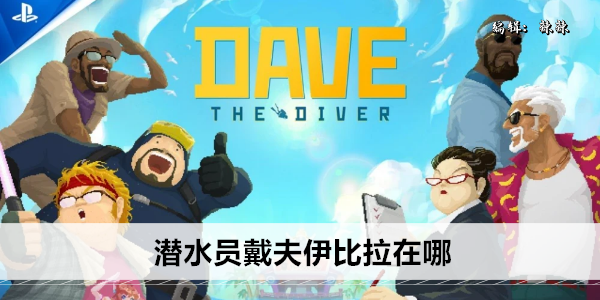 潜水员戴夫伊比拉在哪