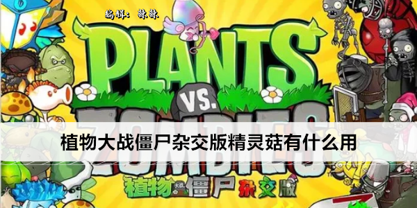 植物大战僵尸杂交版精灵菇有什么用